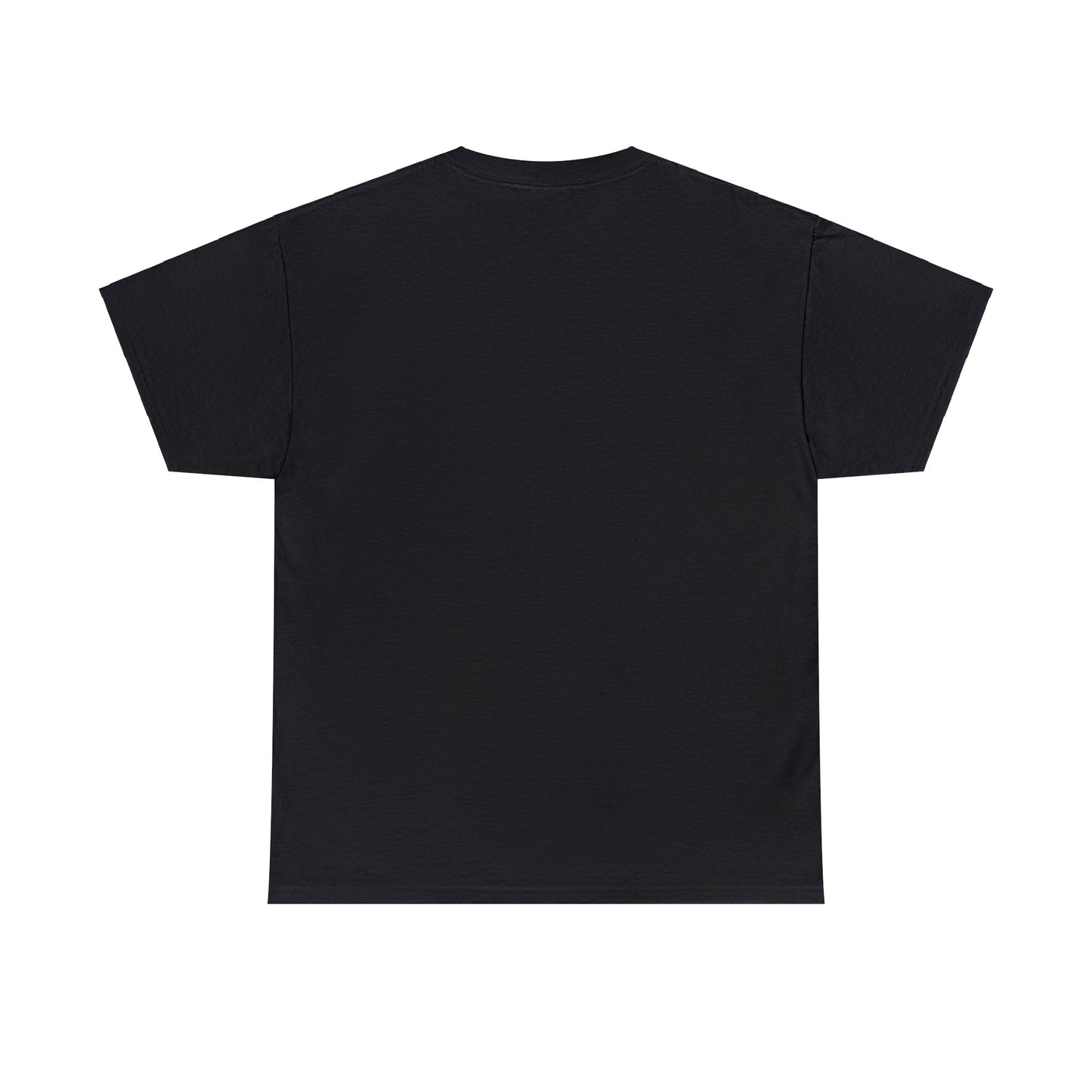 Take Me Home - T-Shirt