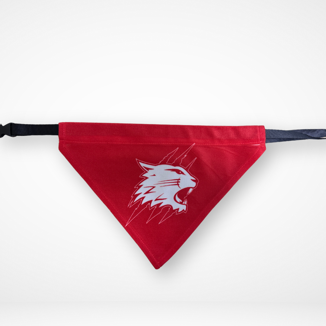 Dog Bandana