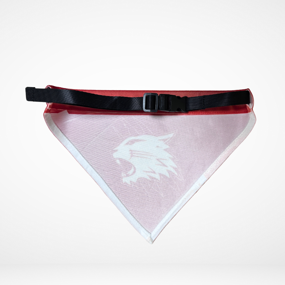 Dog Bandana