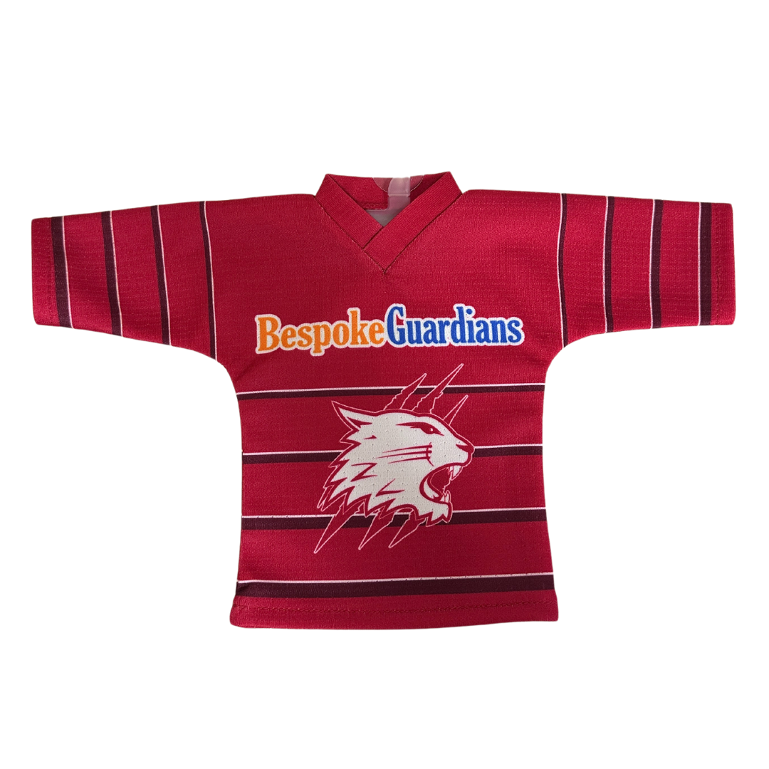 Mini Car Jersey